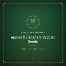 Apples & Banana Z Regular Seeds Apples & Banana Z Regular Seeds