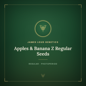 Apples & Banana Z Regular Seeds Apples & Banana Z Regular Seeds
