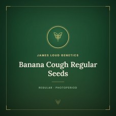 Banana Cough Regular Seeds