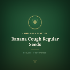 Banana Cough Regular Seeds Banana Cough Regular Seeds