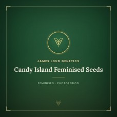 Candy Island Feminised Seeds Candy Island Feminised Seeds