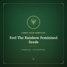 Feel The Rainbow Feminised Seeds Feel The Rainbow Feminised Seeds