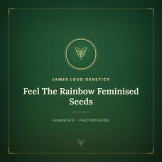 Feel The Rainbow Feminised Seeds Feel The Rainbow Feminised Seeds