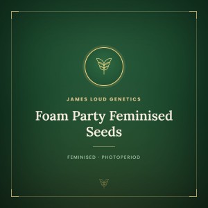 Foam Party Feminised Seeds