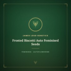 Frosted Biscotti Auto Feminised Seeds Frosted Biscotti Auto Feminised Seeds