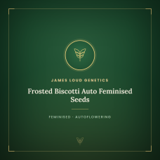 Frosted Biscotti Auto Feminised Seeds Frosted Biscotti Auto Feminised Seeds