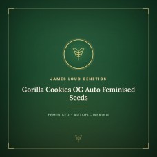 Gorilla Cookies OG Auto Feminised Seeds Gorilla Cookies OG Auto Feminised Seeds