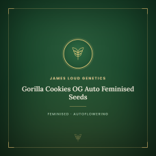 Gorilla Cookies OG Auto Feminised Seeds Gorilla Cookies OG Auto Feminised Seeds