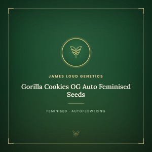 Gorilla Cookies OG Auto Feminised Seeds