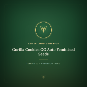 Gorilla Cookies OG Auto Feminised Seeds