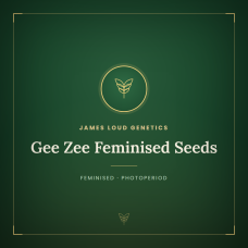 Gee Zee Feminised Seeds Gee Zee Feminised Seeds