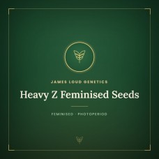 Heavy Z Feminised Seeds Heavy Z Feminised Seeds