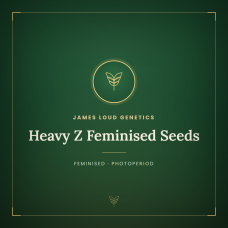 Heavy Z Feminised Seeds Heavy Z Feminised Seeds