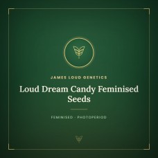 Loud Dream Candy Feminised Seeds