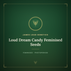 Loud Dream Candy Feminised Seeds Loud Dream Candy Feminised Seeds
