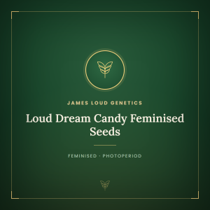 Loud Dream Candy Feminised Seeds Loud Dream Candy Feminised Seeds