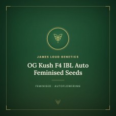 OG Kush F4 IBL Auto Feminised Seeds OG Kush F4 IBL Auto Feminised Seeds