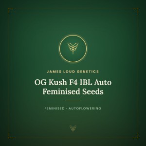 OG Kush F4 IBL Auto Feminised Seeds