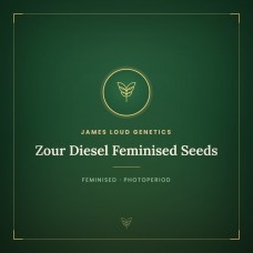 Zour Diesel Feminised Seeds Zour Diesel Feminised Seeds