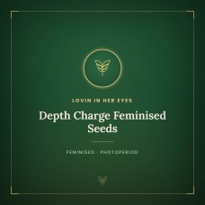 Depth Charge Feminised Seeds Depth Charge Feminised Seeds