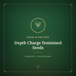 Depth Charge Feminised Seeds Depth Charge Feminised Seeds