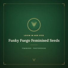 Funky Fuego Feminised Seeds Funky Fuego Feminised Seeds