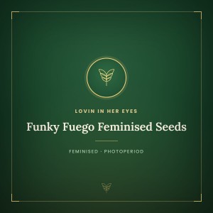 Funky Fuego Feminised Seeds