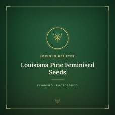 Louisiana Pine Feminised Seeds