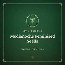 Medianoche Feminised Seeds