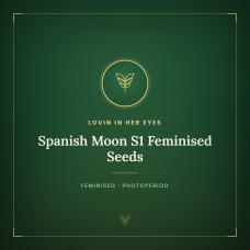 Spanish Moon S1 Feminised Seeds Spanish Moon S1 Feminised Seeds