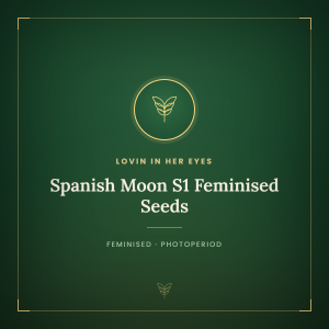 Spanish Moon S1 Feminised Seeds