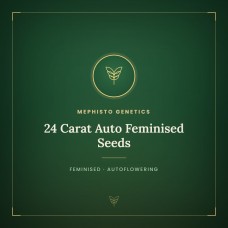 24 Carat Auto Feminised Seeds 24 Carat Auto Feminised Seeds