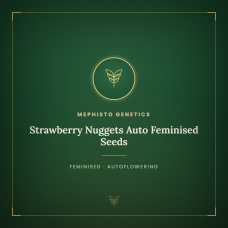 Strawberry Nuggets Auto Feminised Seeds Strawberry Nuggets Auto Feminised Seeds