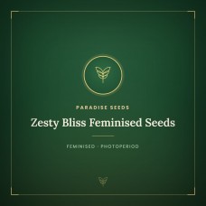 Zesty Bliss Feminised Seeds Zesty Bliss Feminised Seeds