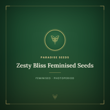 Zesty Bliss Feminised Seeds Zesty Bliss Feminised Seeds