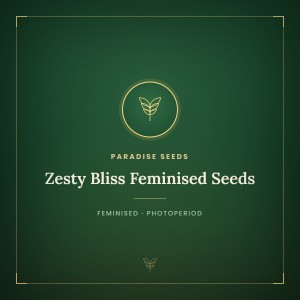 Zesty Bliss Feminised Seeds Zesty Bliss Feminised Seeds