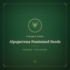 Alpujarrena Feminised Seeds Alpujarrena Feminised Seeds