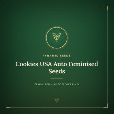 Cookies USA Auto Feminised Seeds Cookies USA Auto Feminised Seeds