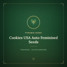 Cookies USA Auto Feminised Seeds Cookies USA Auto Feminised Seeds