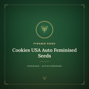Cookies USA Auto Feminised Seeds Cookies USA Auto Feminised Seeds