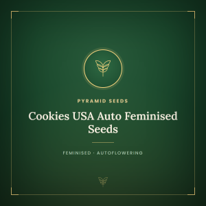 Cookies USA Auto Feminised Seeds Cookies USA Auto Feminised Seeds