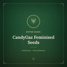 CandyGaz Feminised Seeds CandyGaz Feminised Seeds