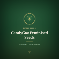 CandyGaz Feminised Seeds CandyGaz Feminised Seeds