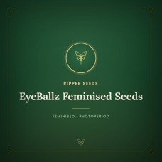 EyeBallz Feminised Seeds EyeBallz Feminised Seeds