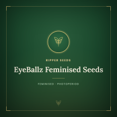 EyeBallz Feminised Seeds EyeBallz Feminised Seeds