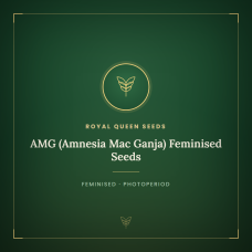 AMG (Amnesia Mac Ganja) Feminised Seeds AMG (Amnesia Mac Ganja) Feminised Seeds