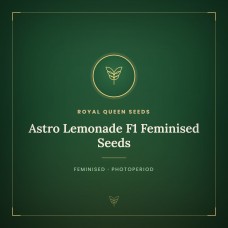 Astro Lemonade F1 Feminised Seeds Astro Lemonade F1 Feminised Seeds