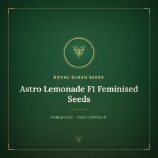 Astro Lemonade F1 Feminised Seeds Astro Lemonade F1 Feminised Seeds