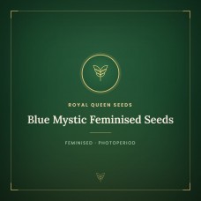 Blue Mystic Feminised Seeds