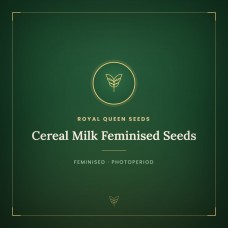 Cereal Milk Feminised Seeds